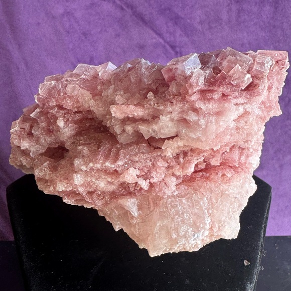 Pink Halite (Searles Lake, California) - Picture 5 of 8